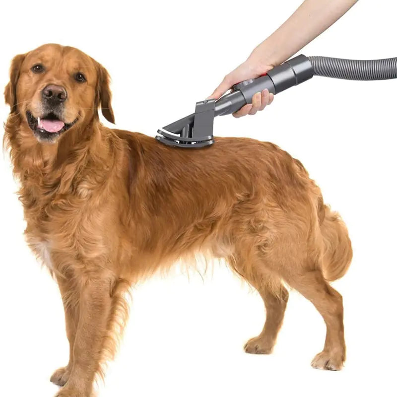 Vacuum Attachment Pet Hair Cleaning