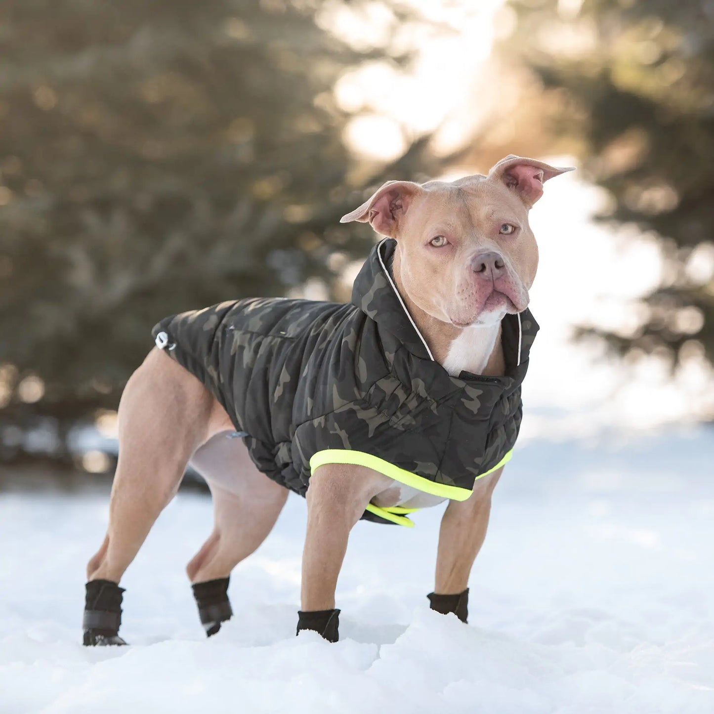 Recycled Parka Dog Coat- Camouflage