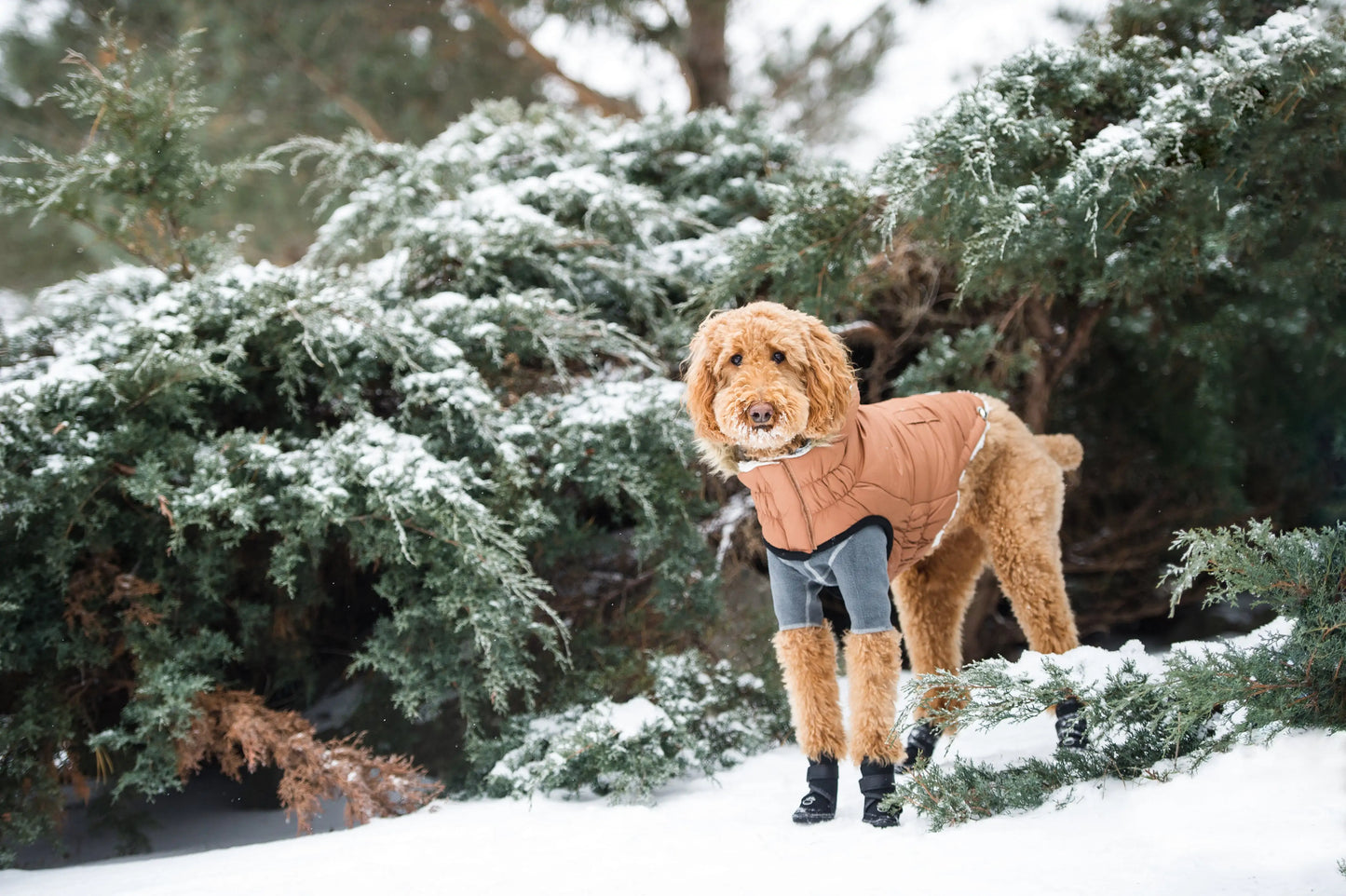 Elasto-Fit Urban Parka Dog Coat - Caramel
