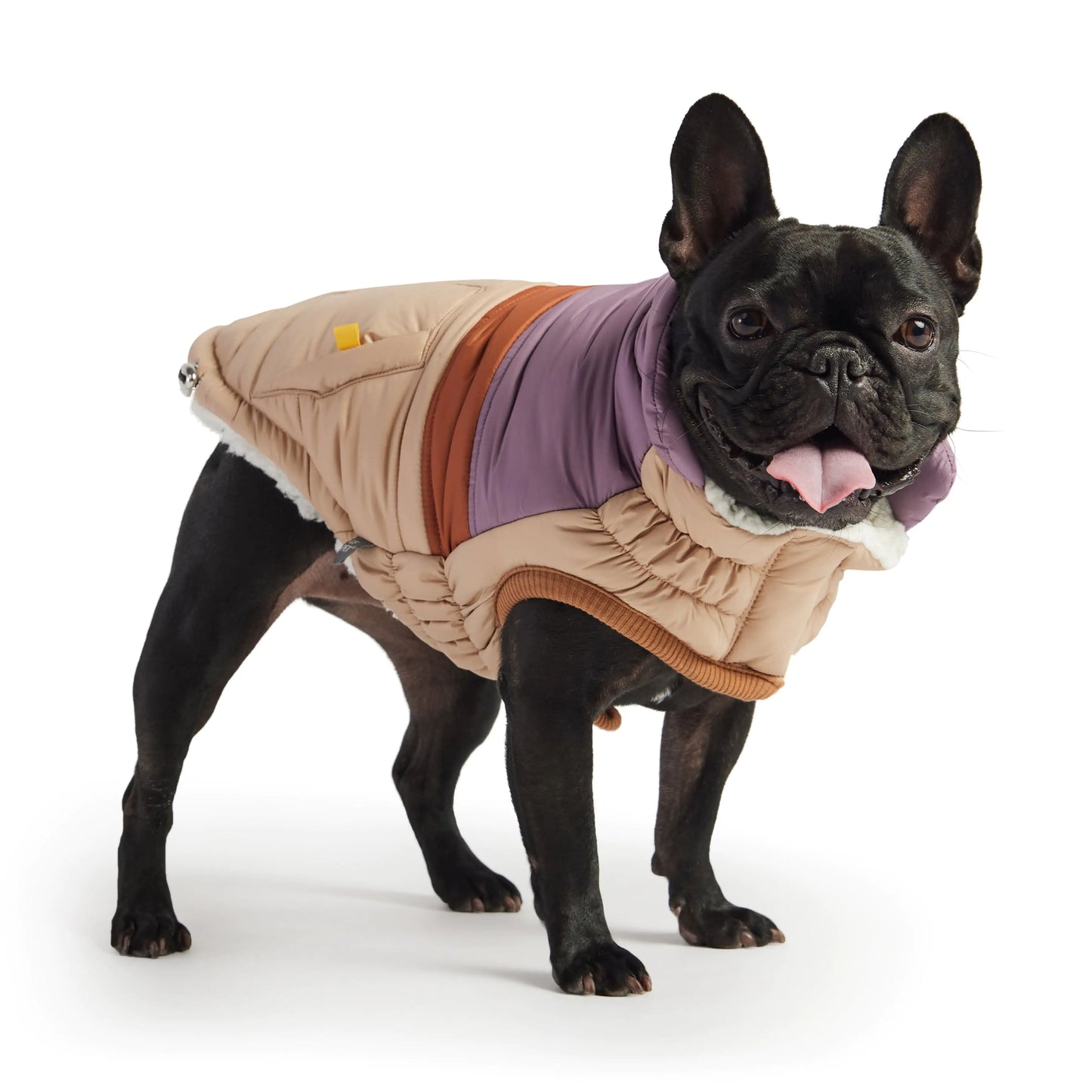 Retro Puffer Dog Jacket - Sand