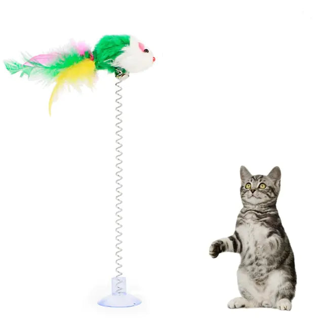 Cat Toys