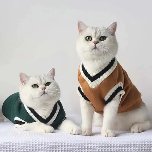 Chic Cat Winter Sweater Pullovers