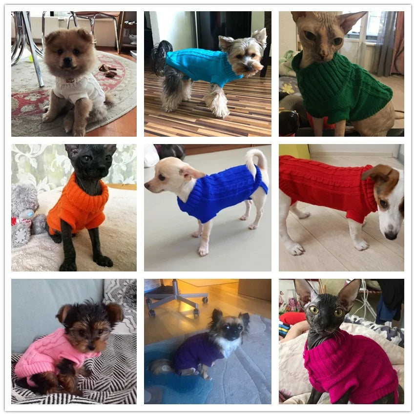 Spring / Autumn Pet Clothes