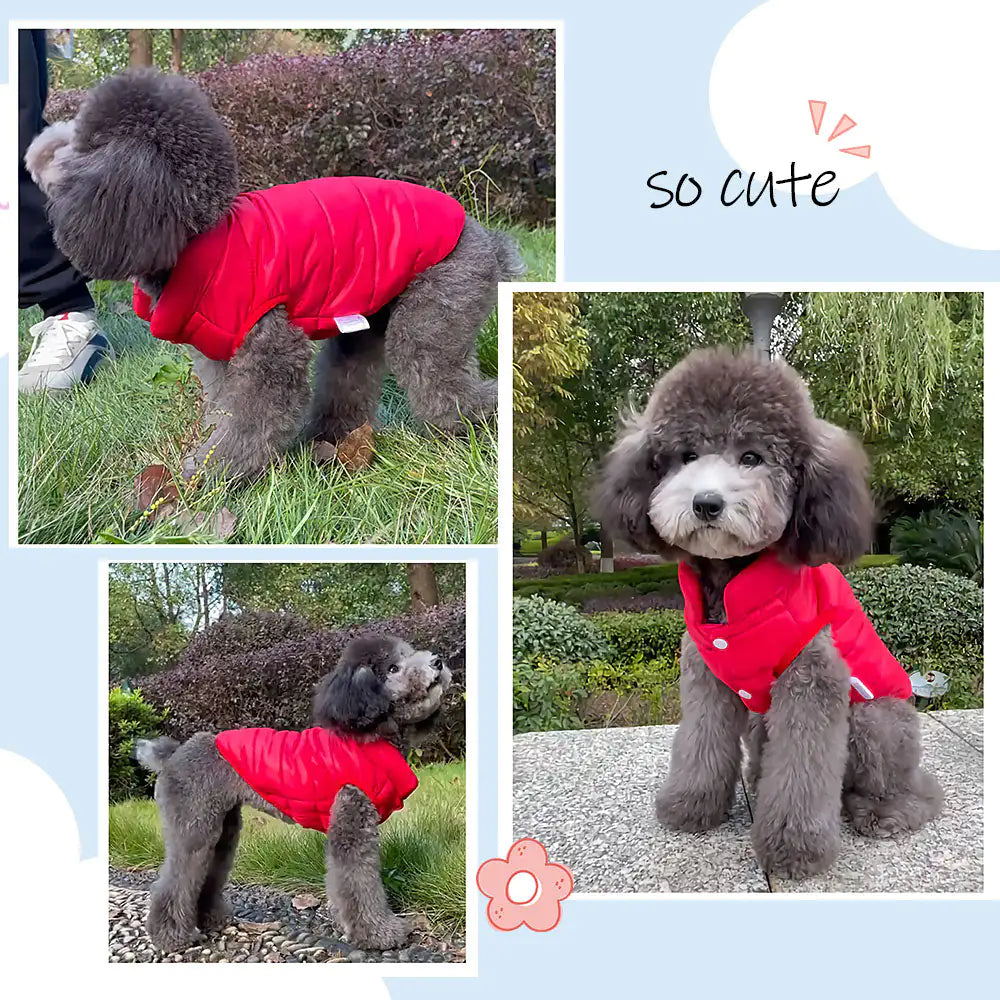 Kutya Mellény Small Dog Jacket
