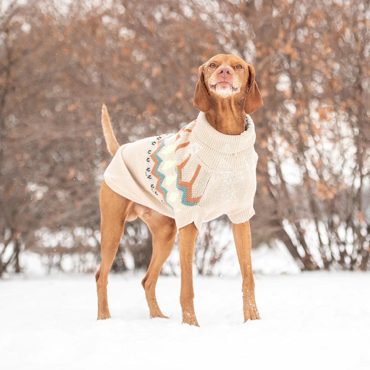 Heritage Dog Sweater - Sand