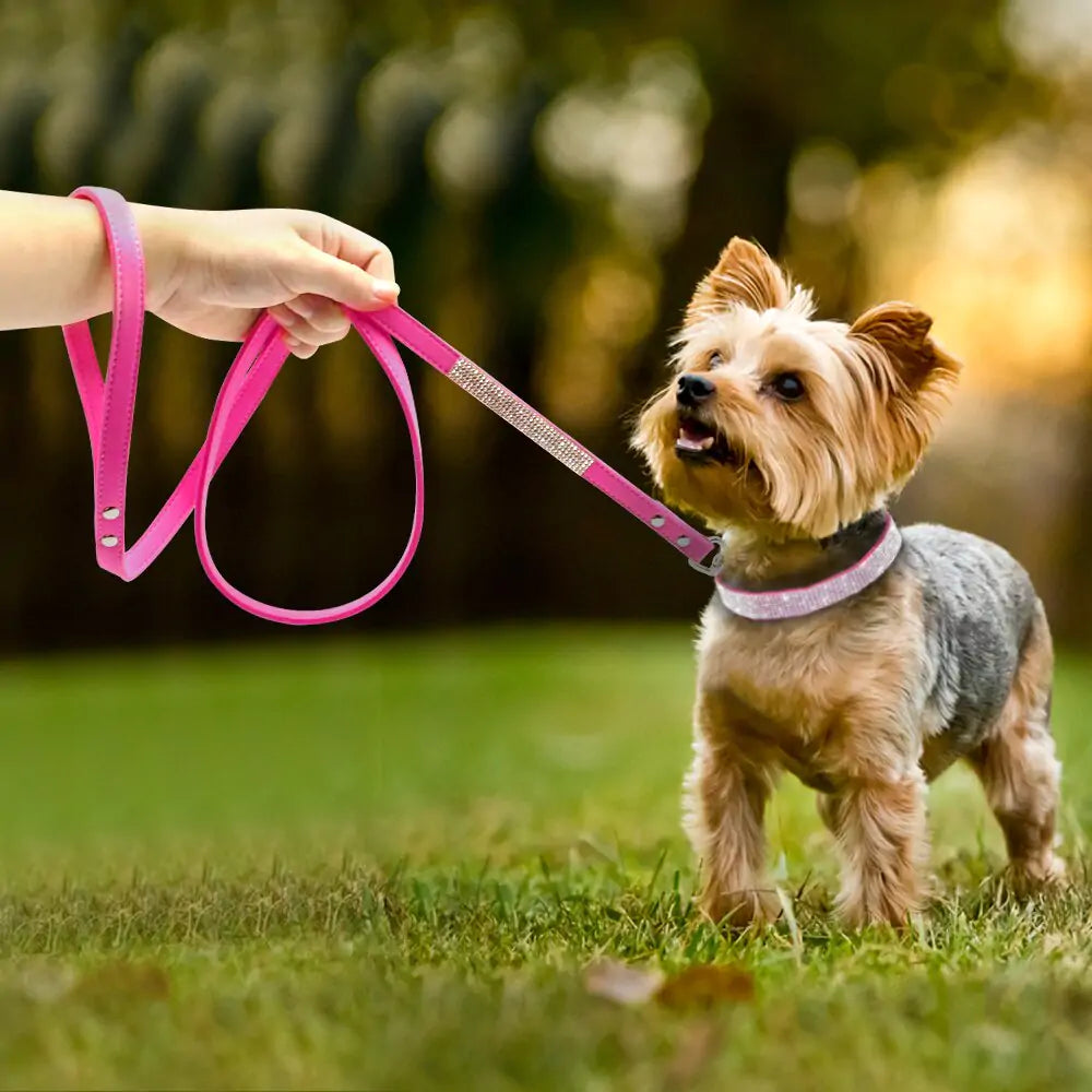 2 In 1 Pet Collar Leash Set