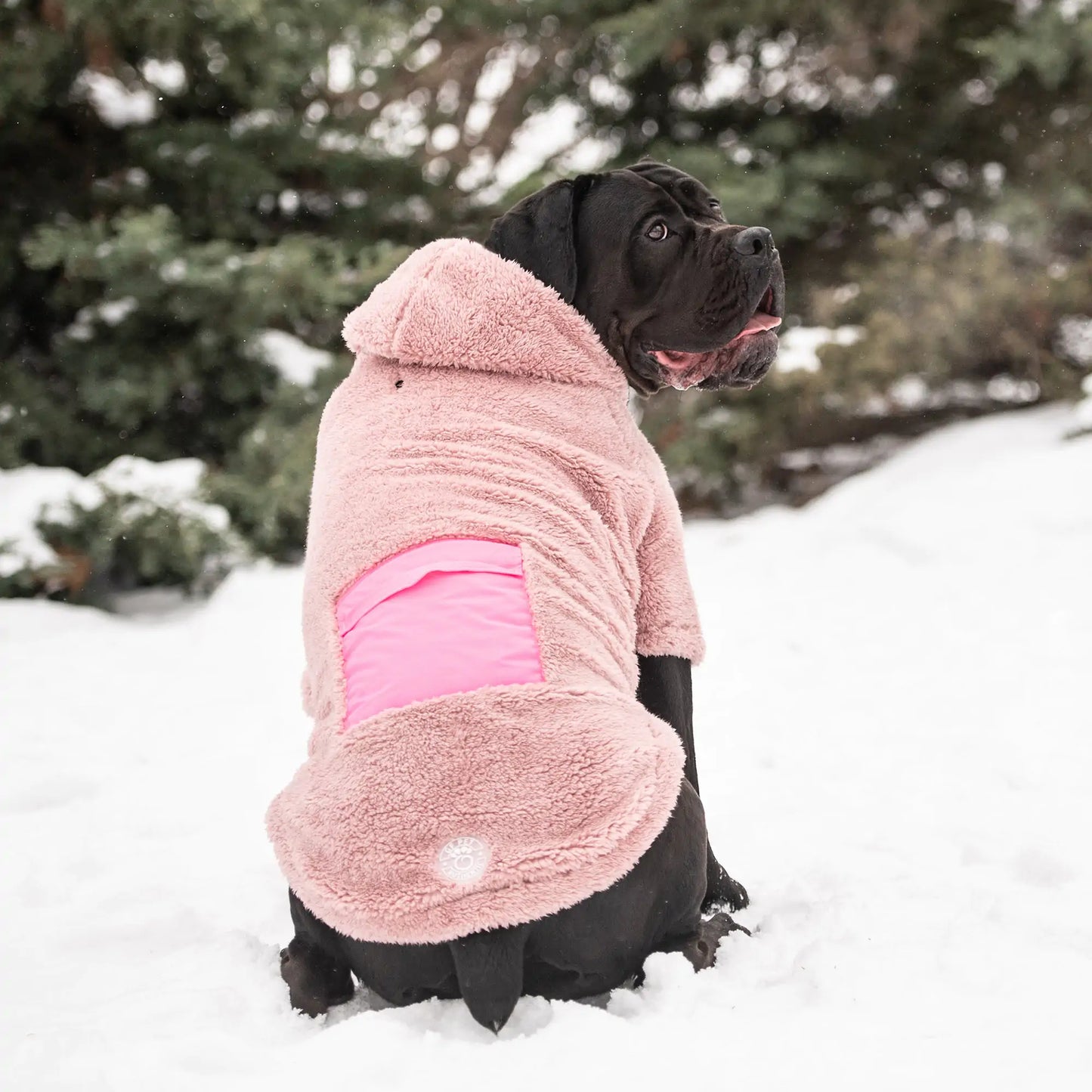 Cozy Dog Hoodie - Pink