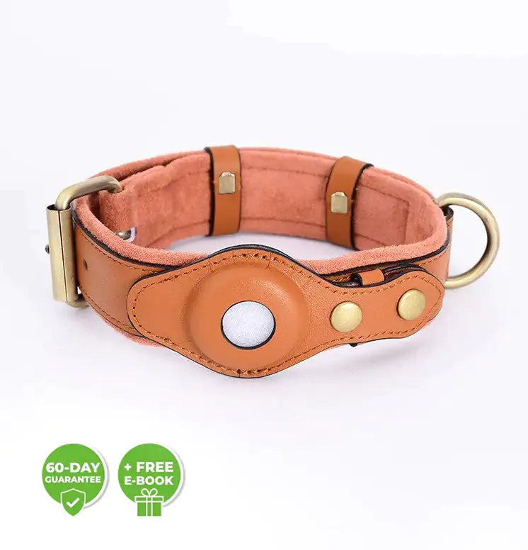 Anti-Lost Pet Collar