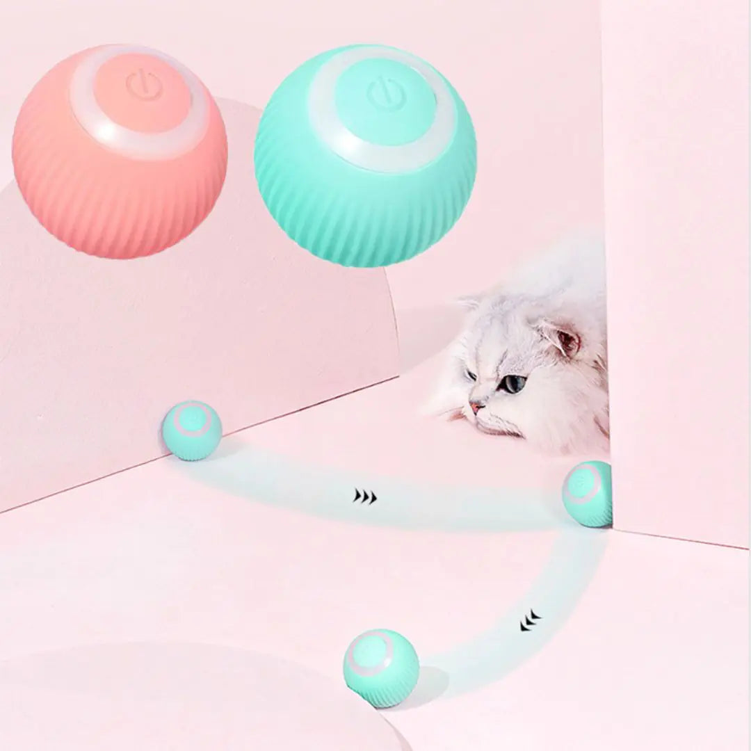 Smart Pet Toy Ball