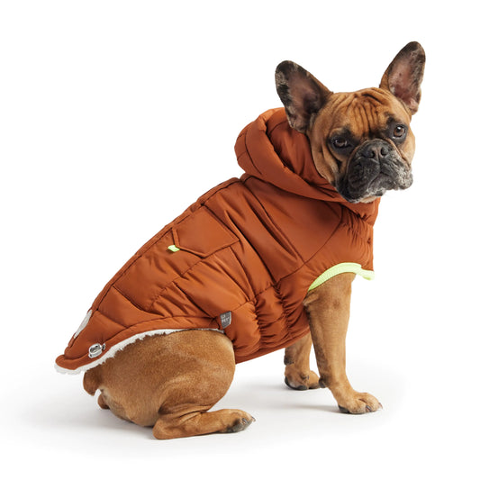 Super Puff Parka Dog Jacket - Hazel