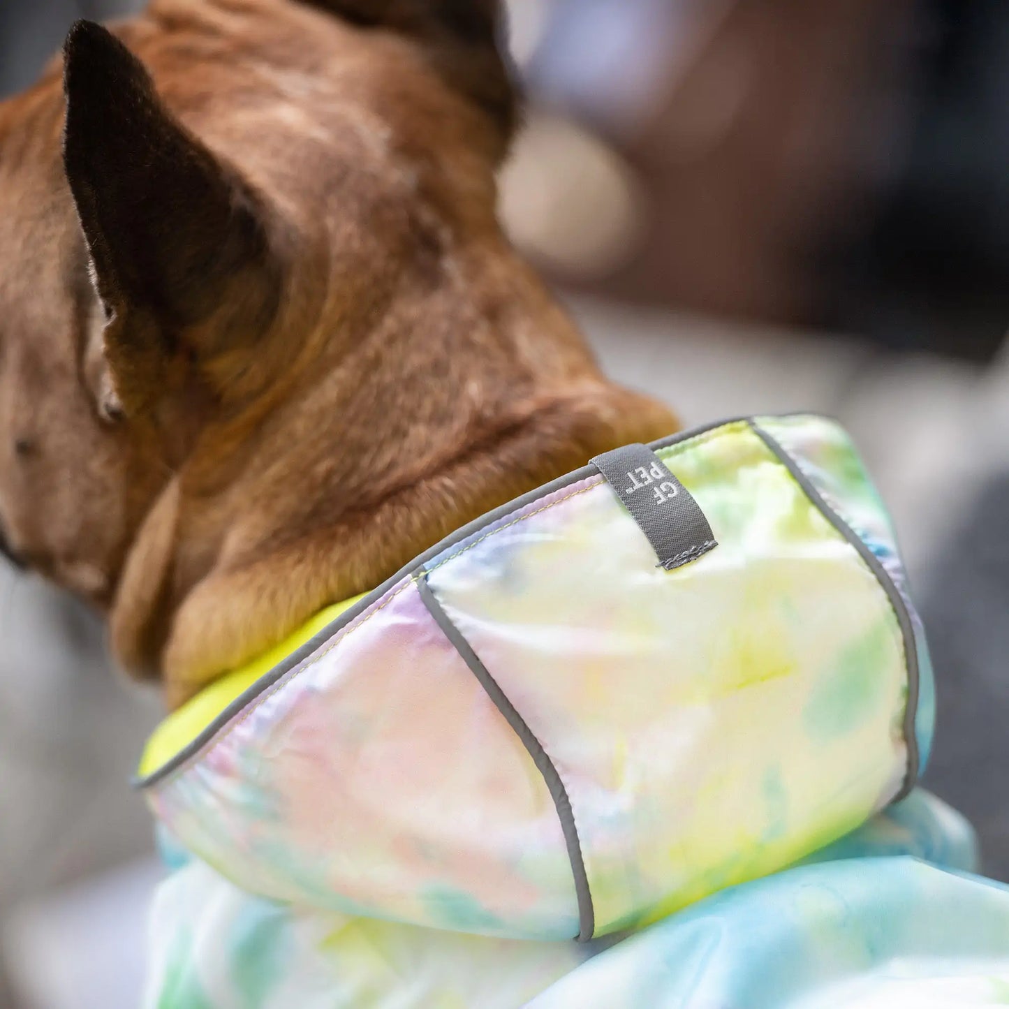 Reversible Dog Raincoat - Neon Yellow with Tie Dye