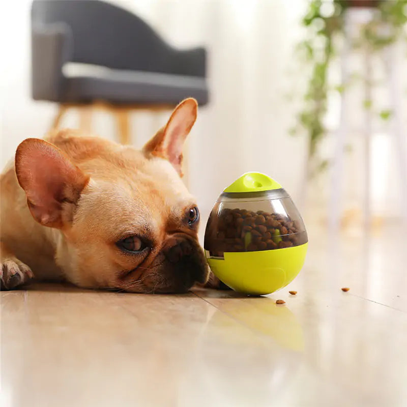 Pets IQ Treat Toy