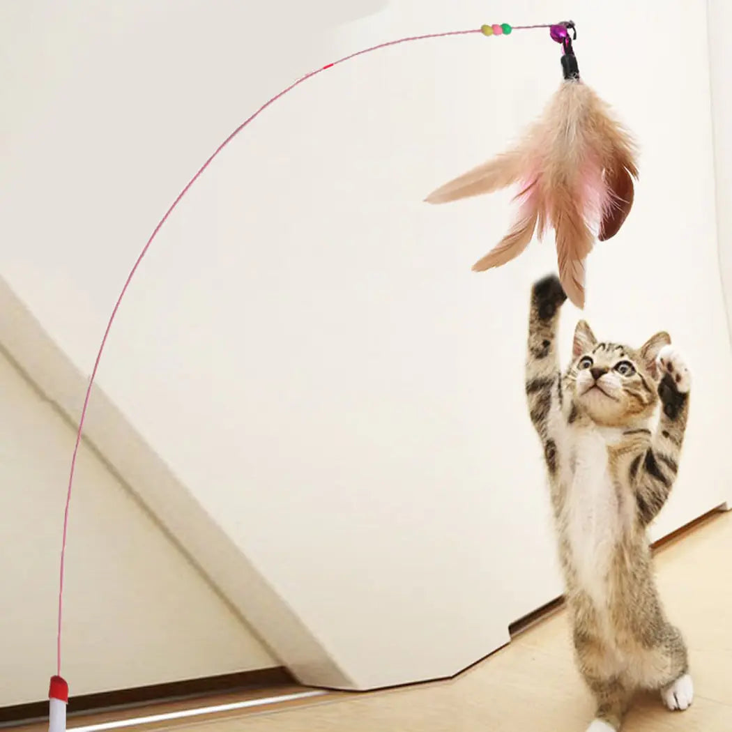 Cat Toys
