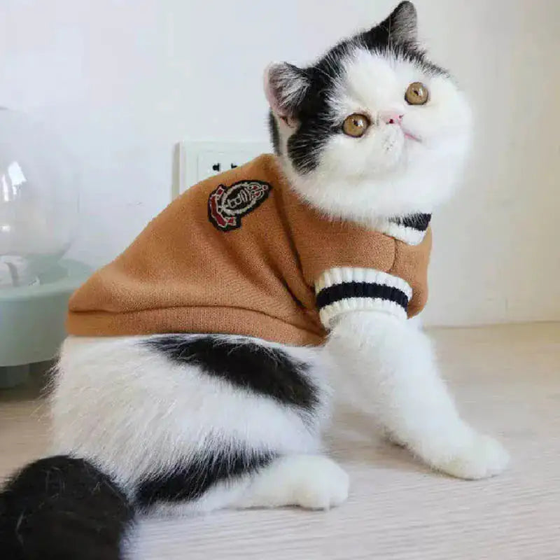 Chic Cat Winter Sweater Pullovers
