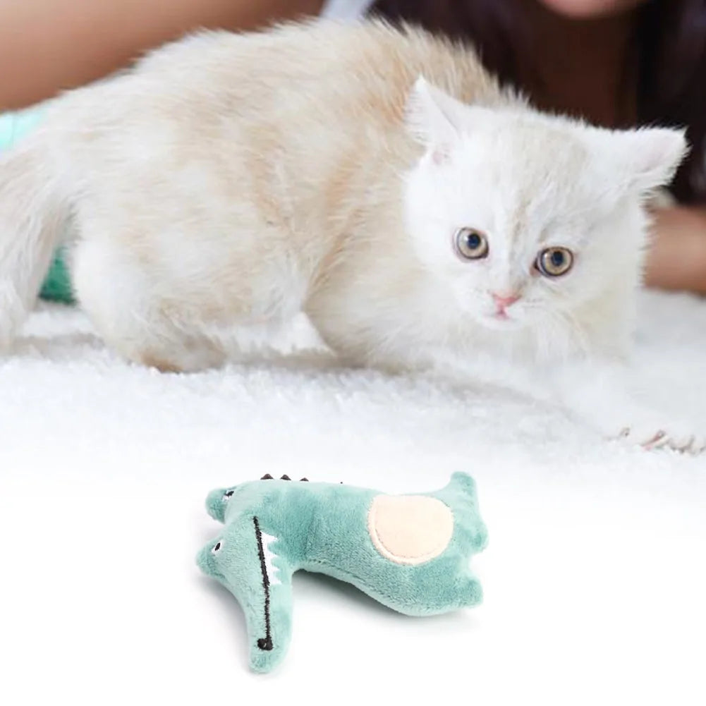 Cat Toy