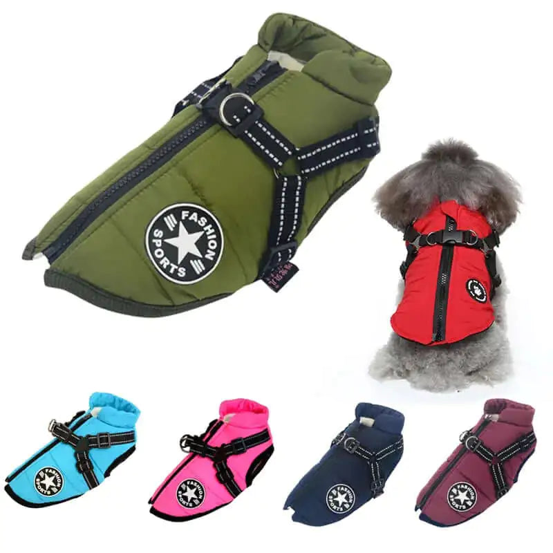 Adorable Waterproof Winter Ski Suit