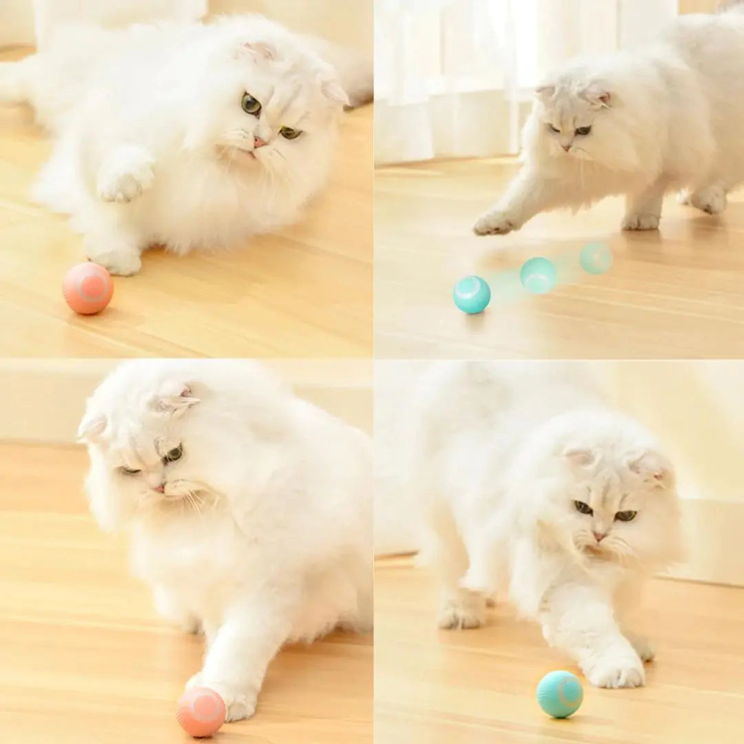Smart Pet Toy Ball