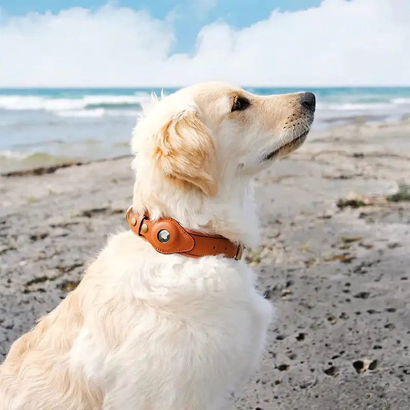 Anti-Lost Pet Collar