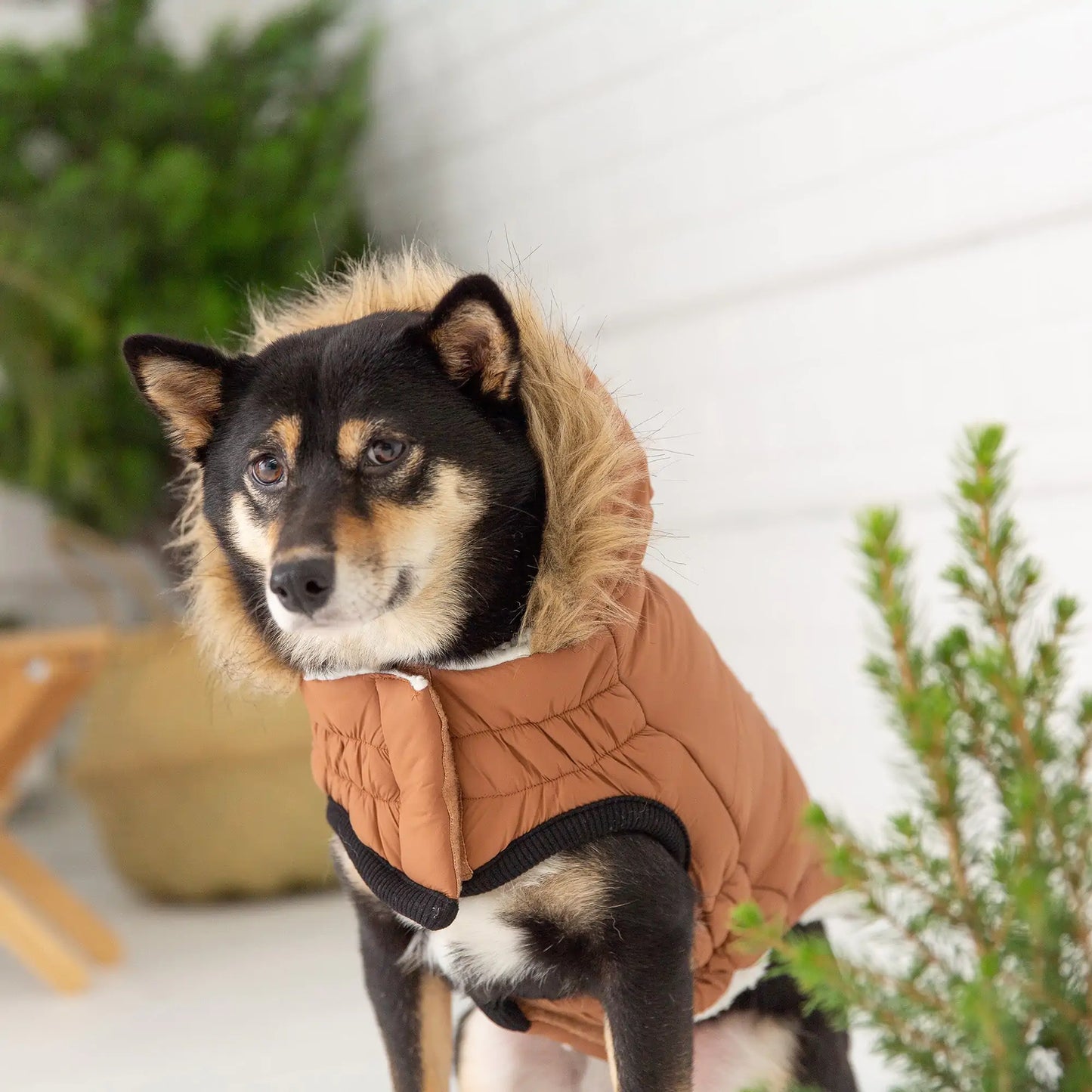 Elasto-Fit Urban Parka Dog Coat - Caramel
