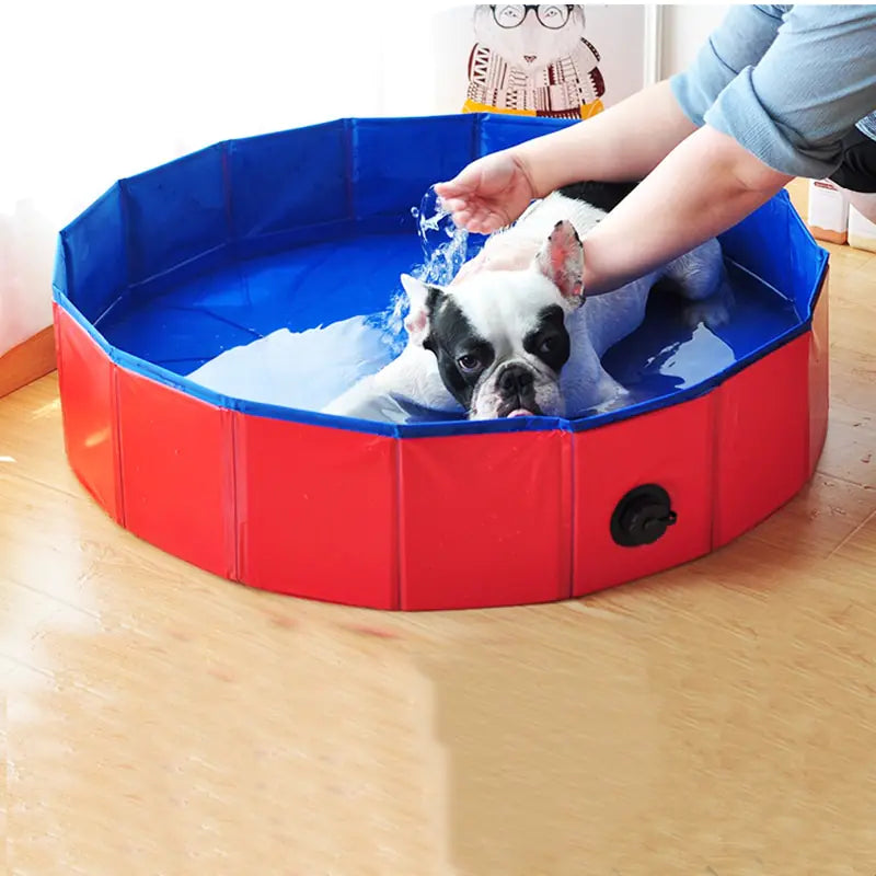 Foldable Dog Pool