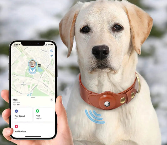 Anti-Lost Pet Collar