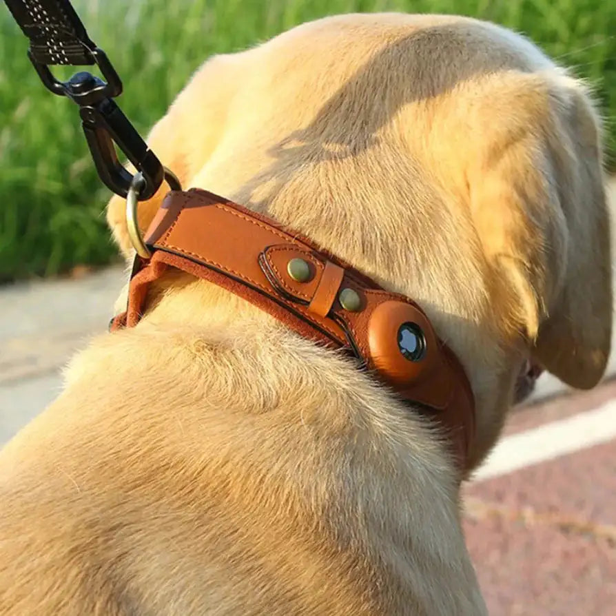 Anti-Lost Pet Collar