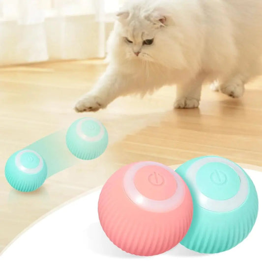 Smart Pet Toy Ball