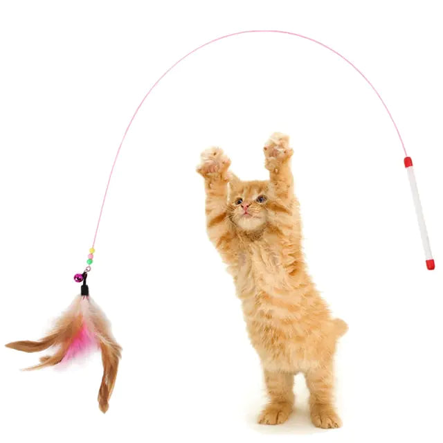 Cat Toys