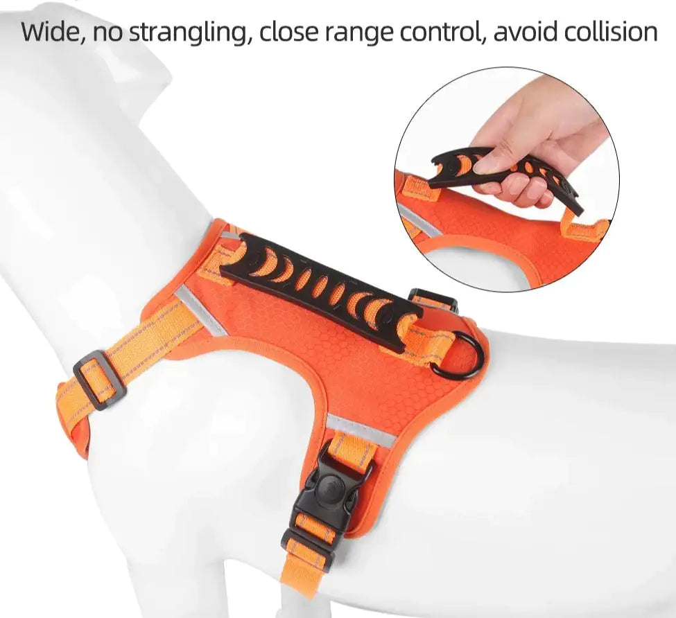 Reflectride Dog Harness