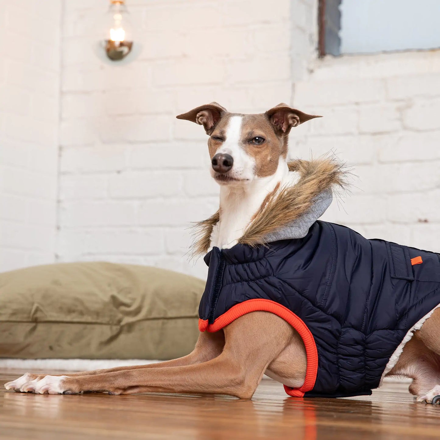 Winter Sailor Parka Dog Coat - Navy