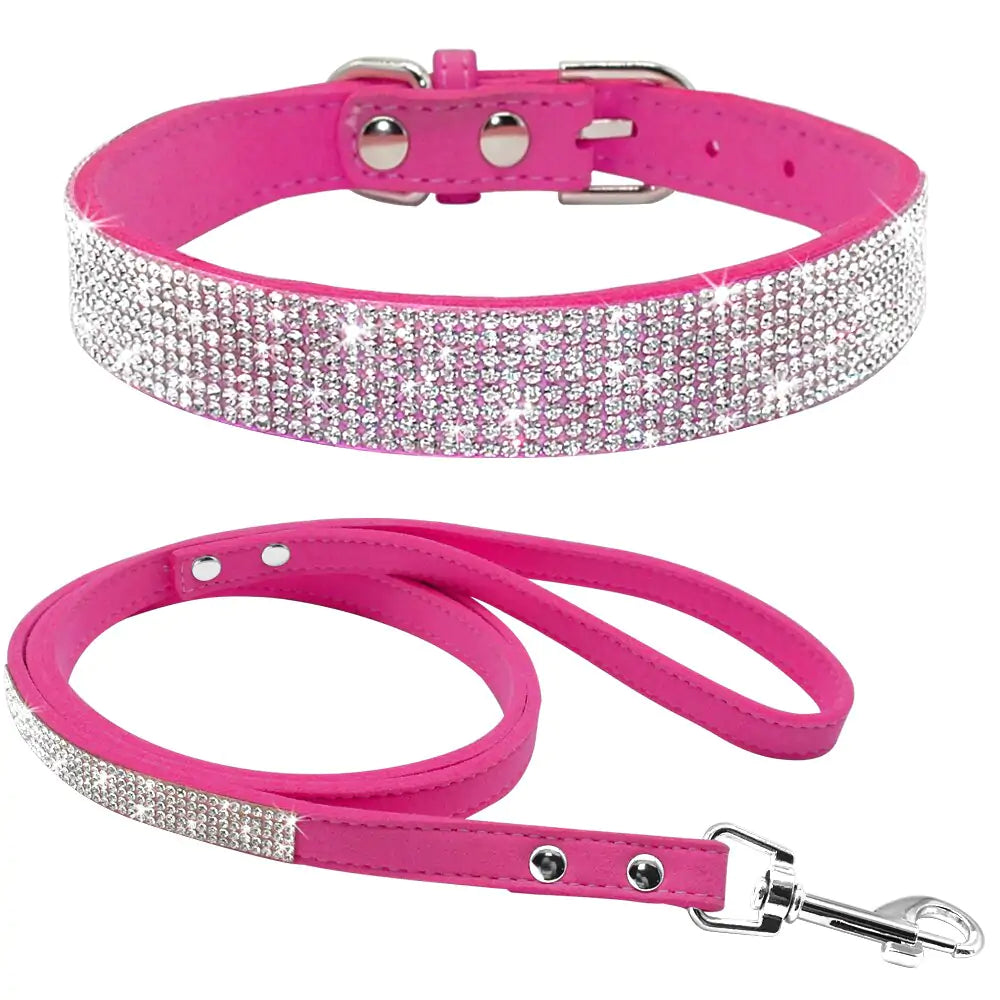 2 In 1 Pet Collar Leash Set