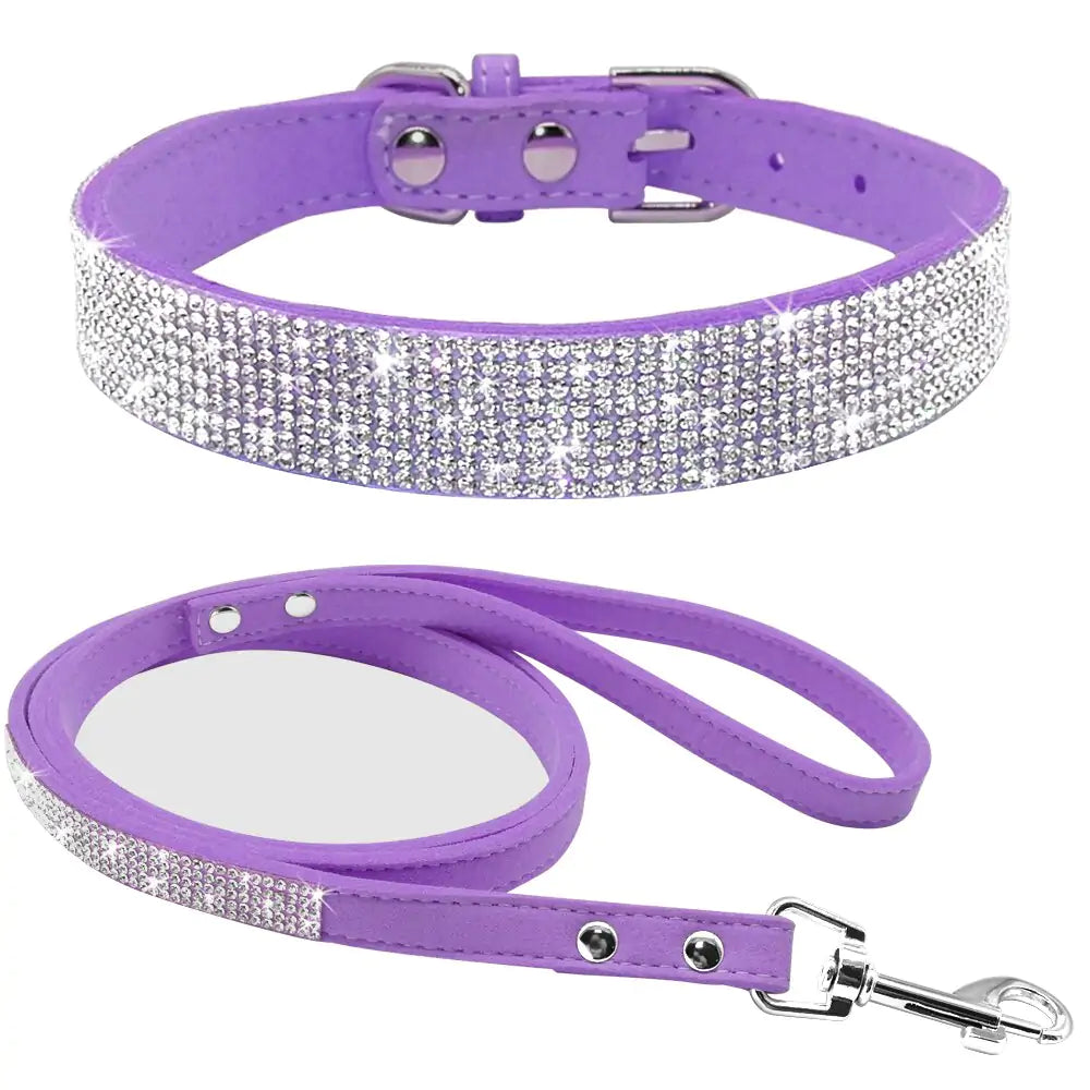2 In 1 Pet Collar Leash Set