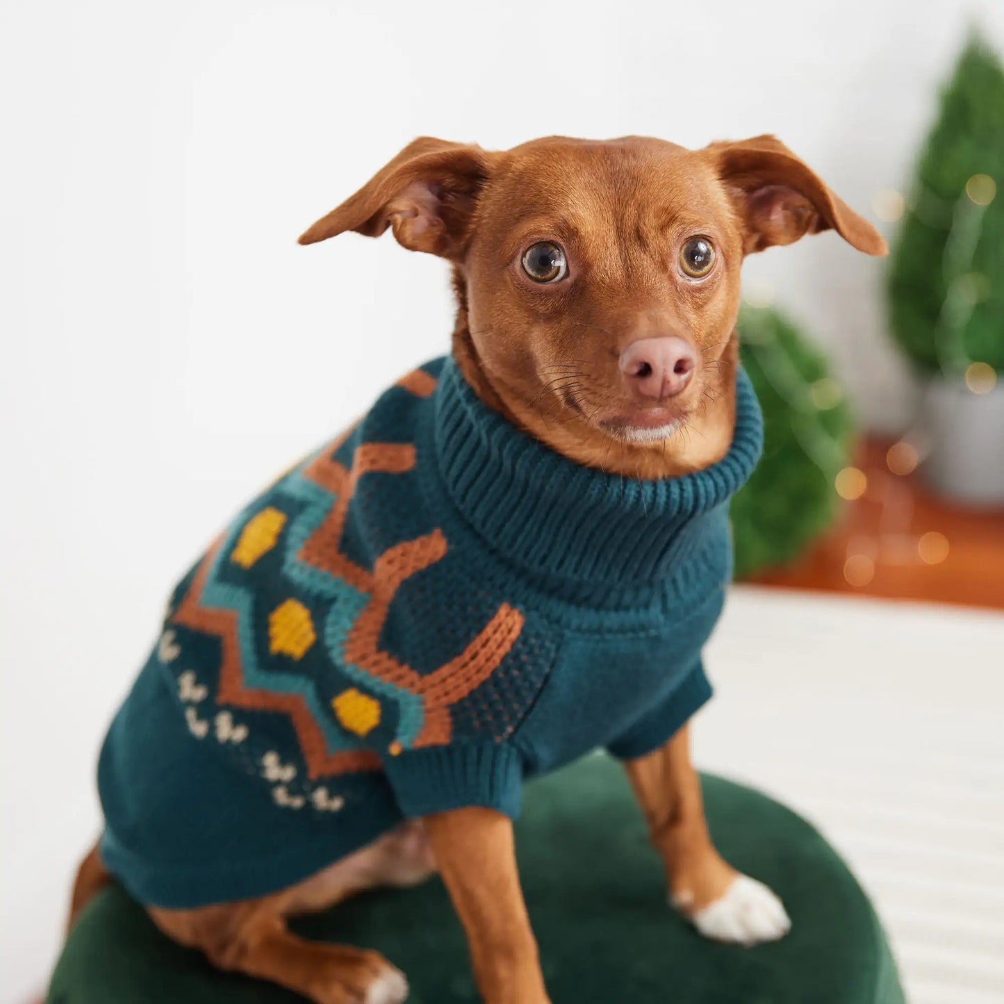 Heritage Dog Sweater - Teal