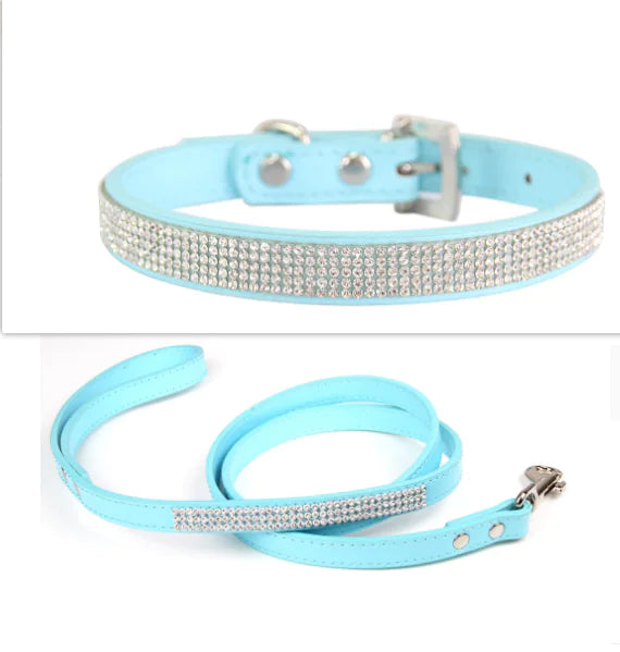 2 In 1 Pet Collar Leash Set