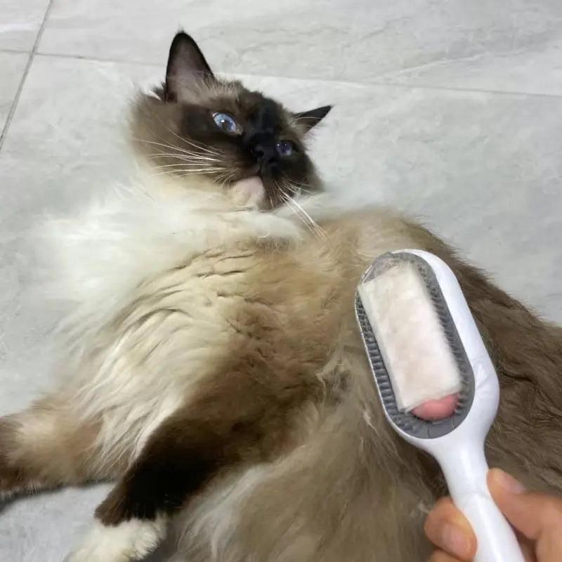 Double Sided Hair Removal Brushes for Pet