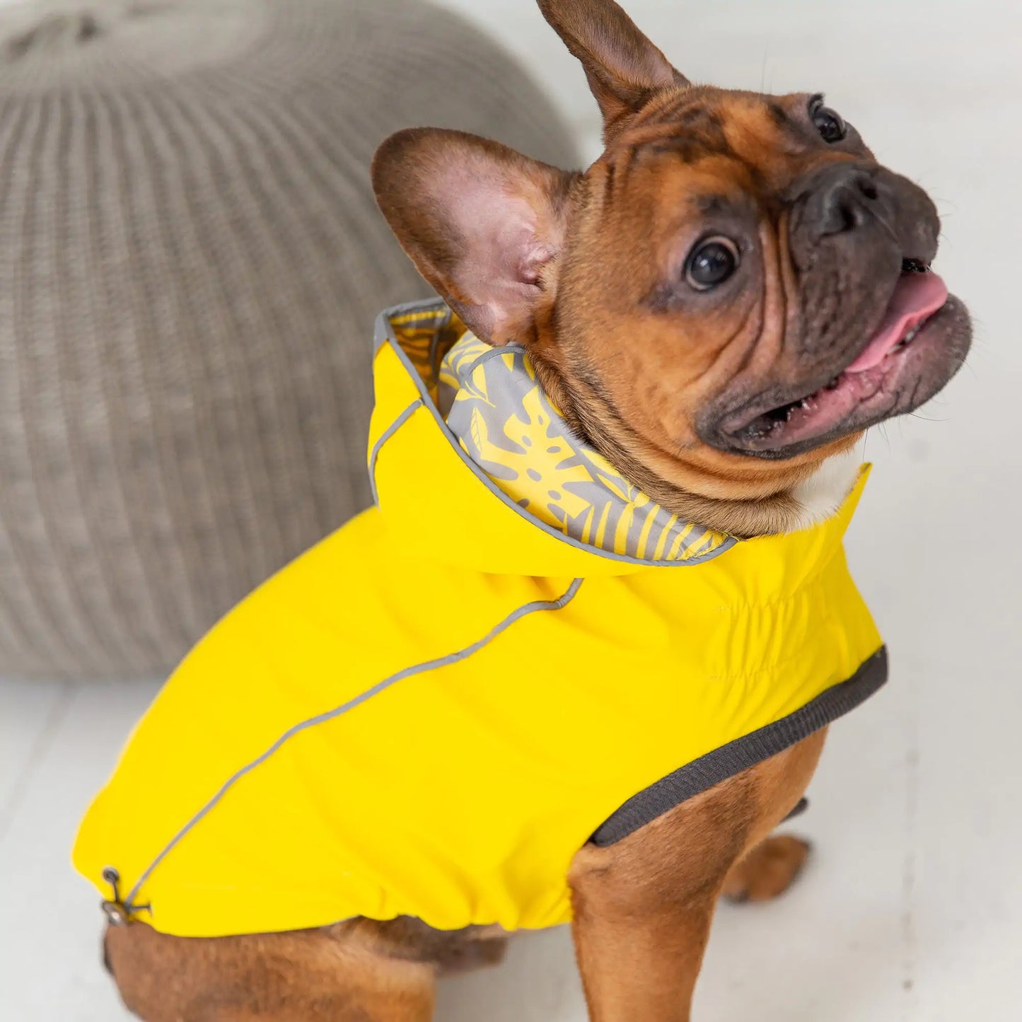 Dog Reversible Elasto-Fit Raincoat - Yellow