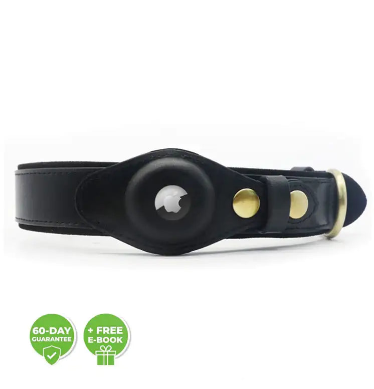 Anti-Lost Pet Collar