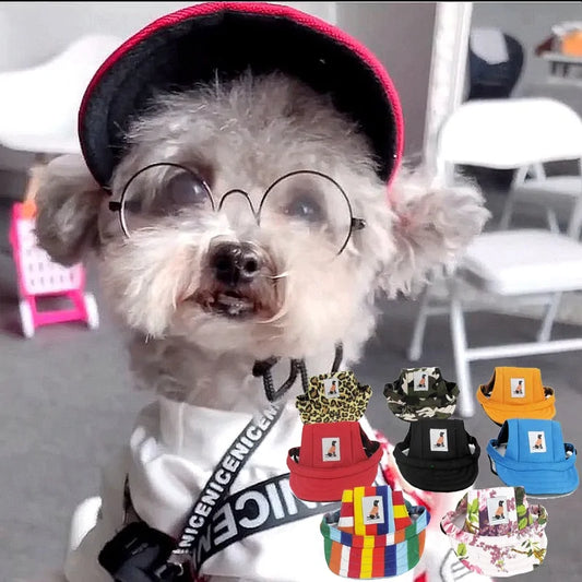 Dog Baseball Cap