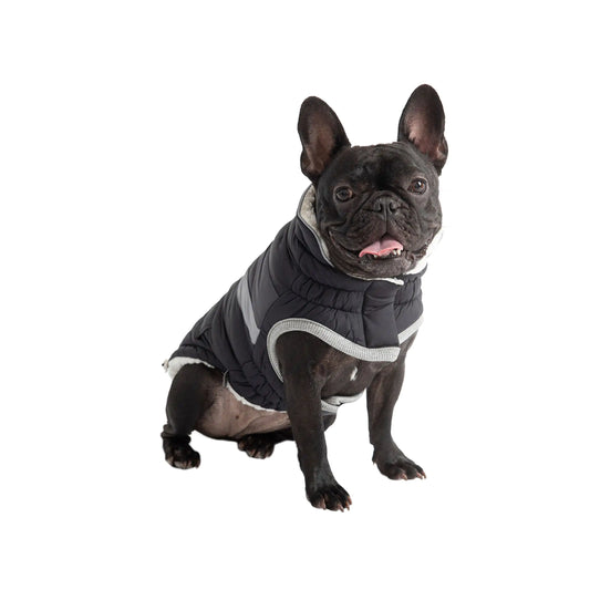 Alpine Puffer Dog Winter Coat - Black