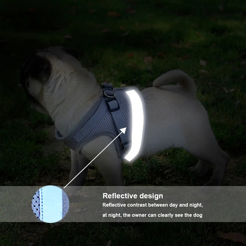 Adjustable Dog Reflective Vest