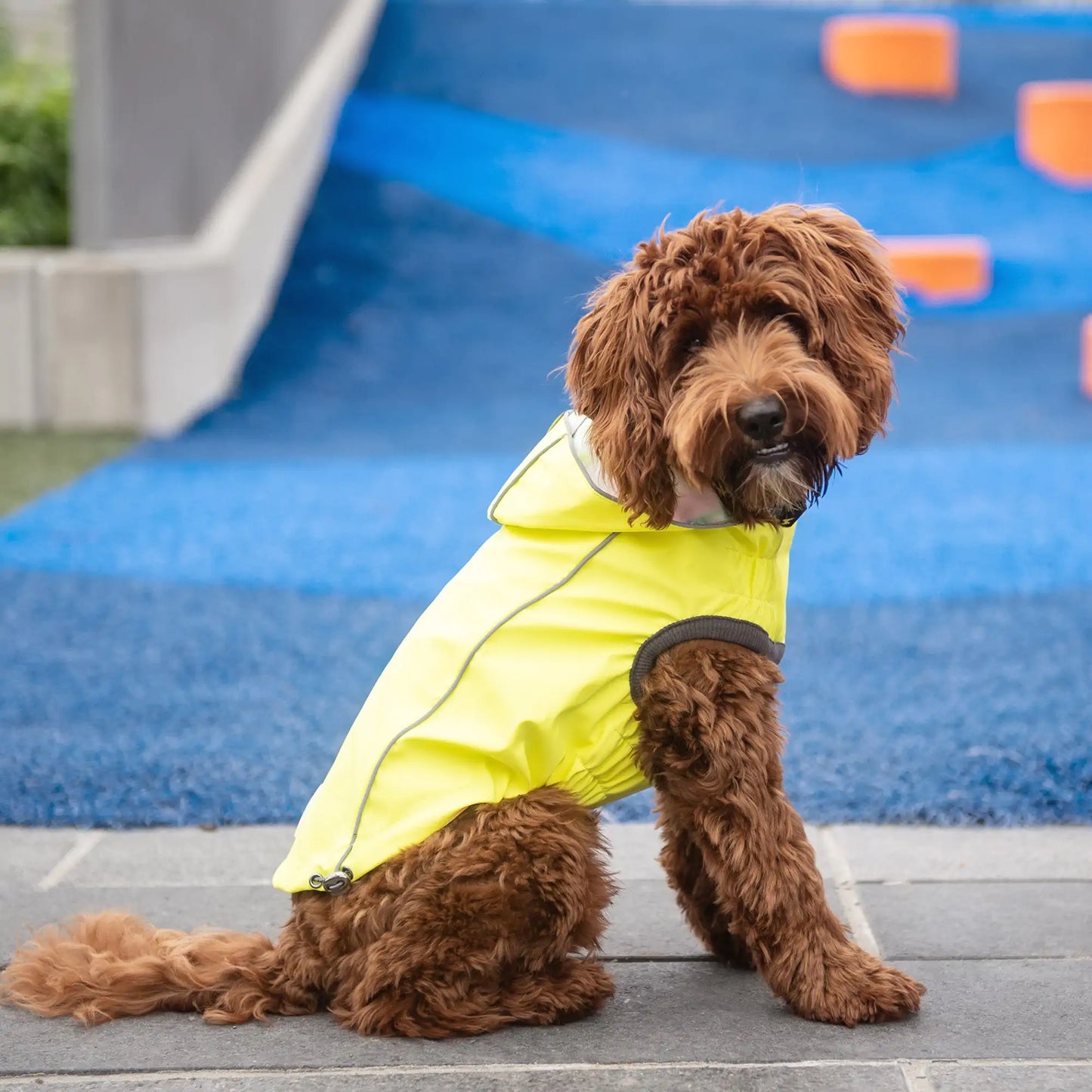 Reversible Dog Raincoat - Neon Yellow with Tie Dye