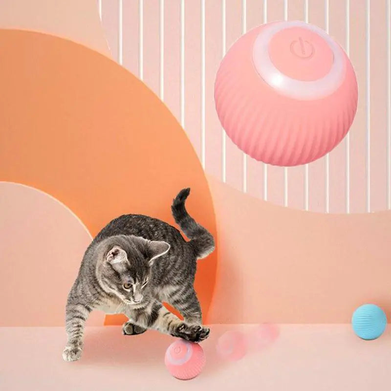 Smart Pet Toy Ball