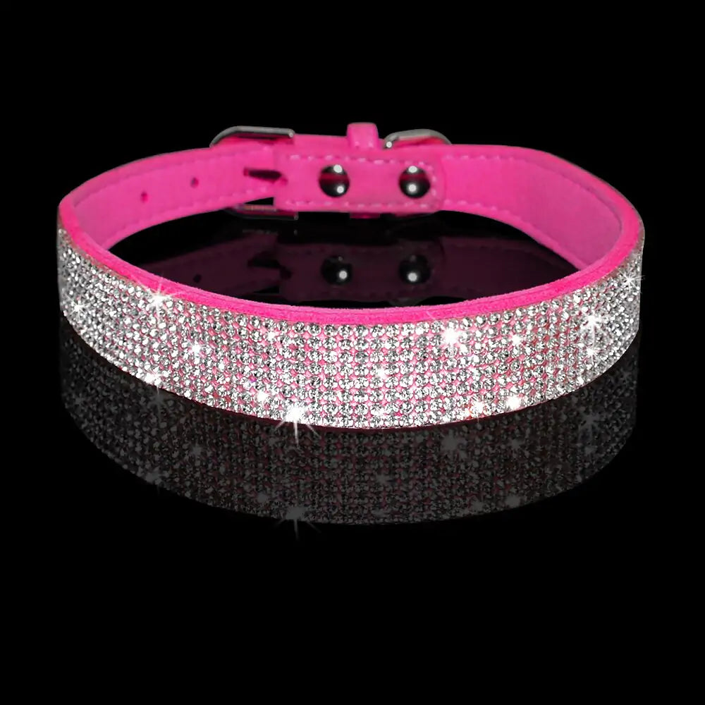2 In 1 Pet Collar Leash Set