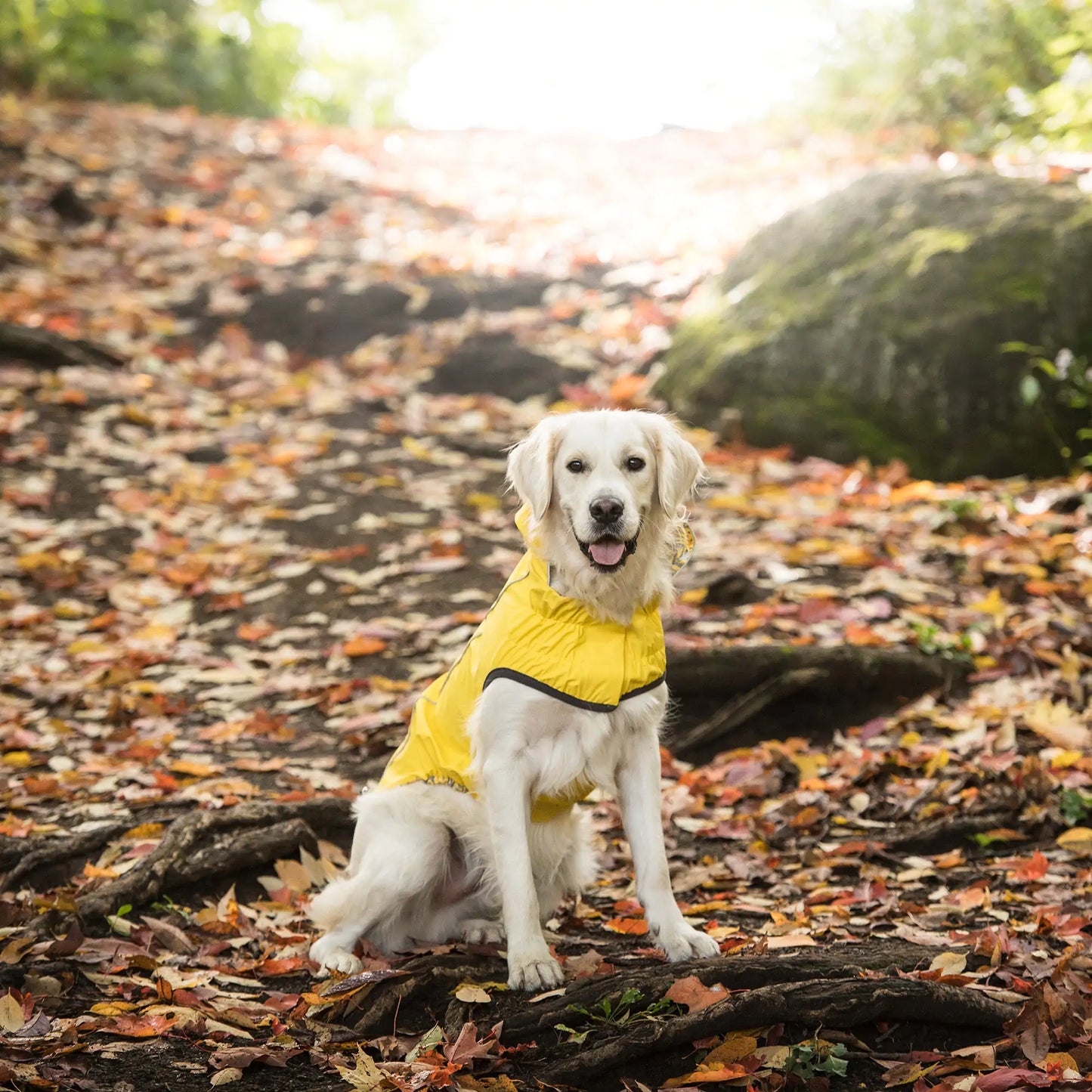 Dog Reversible Elasto-Fit Raincoat - Yellow