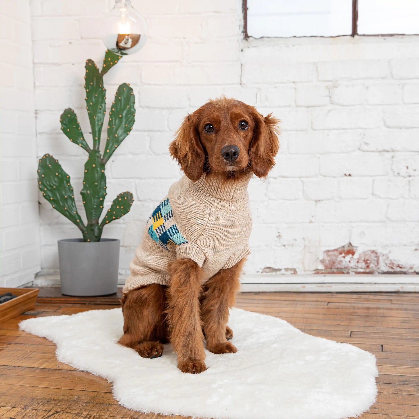 Winter Sailor Dog Sweater - Oatmeal Mix