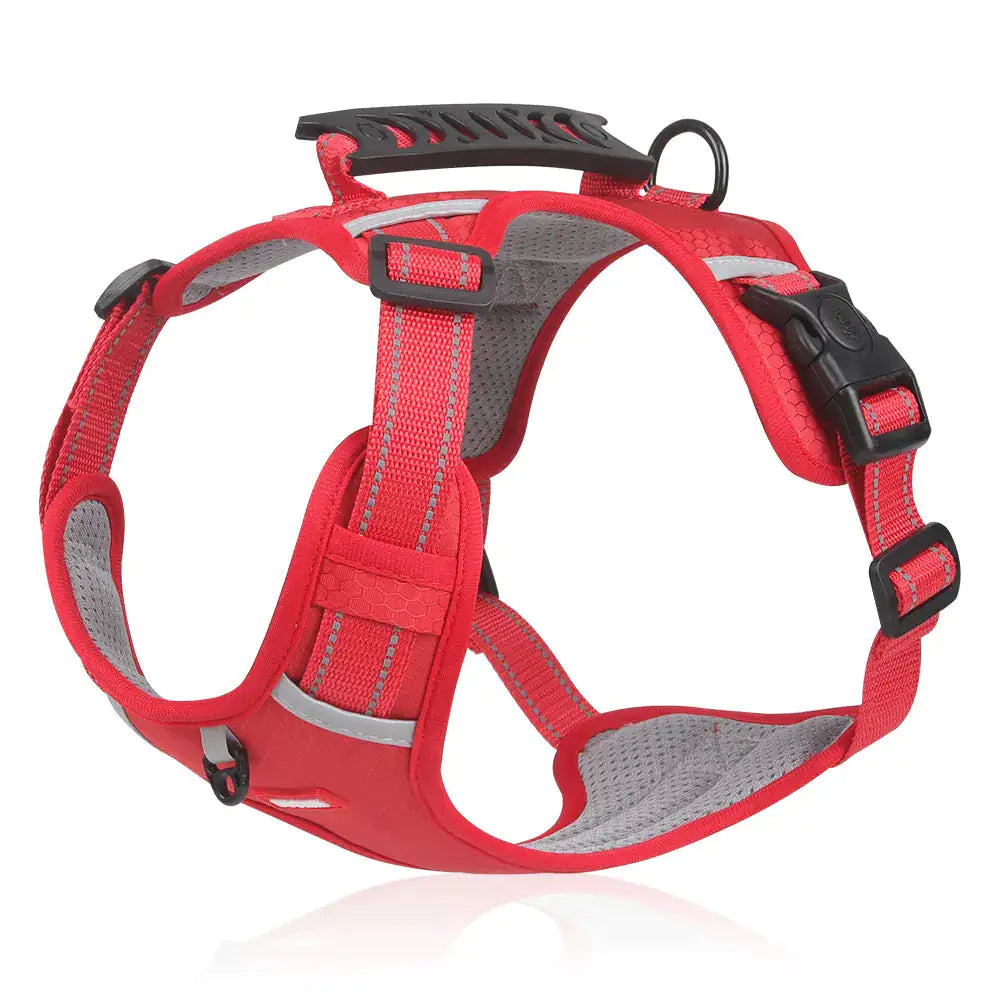 Reflectride Dog Harness