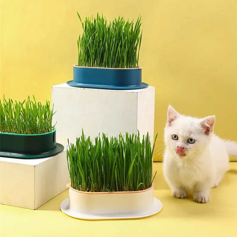 Fresh Sprout Seedling Tray Set