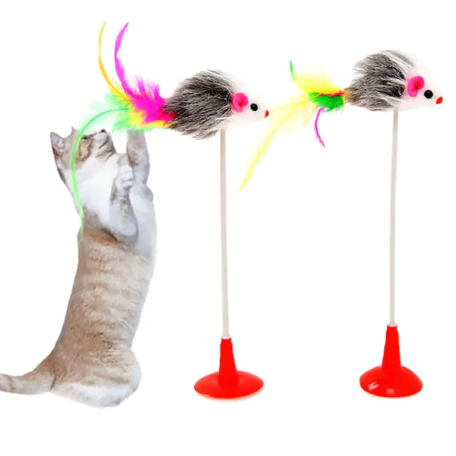 Cat Toys