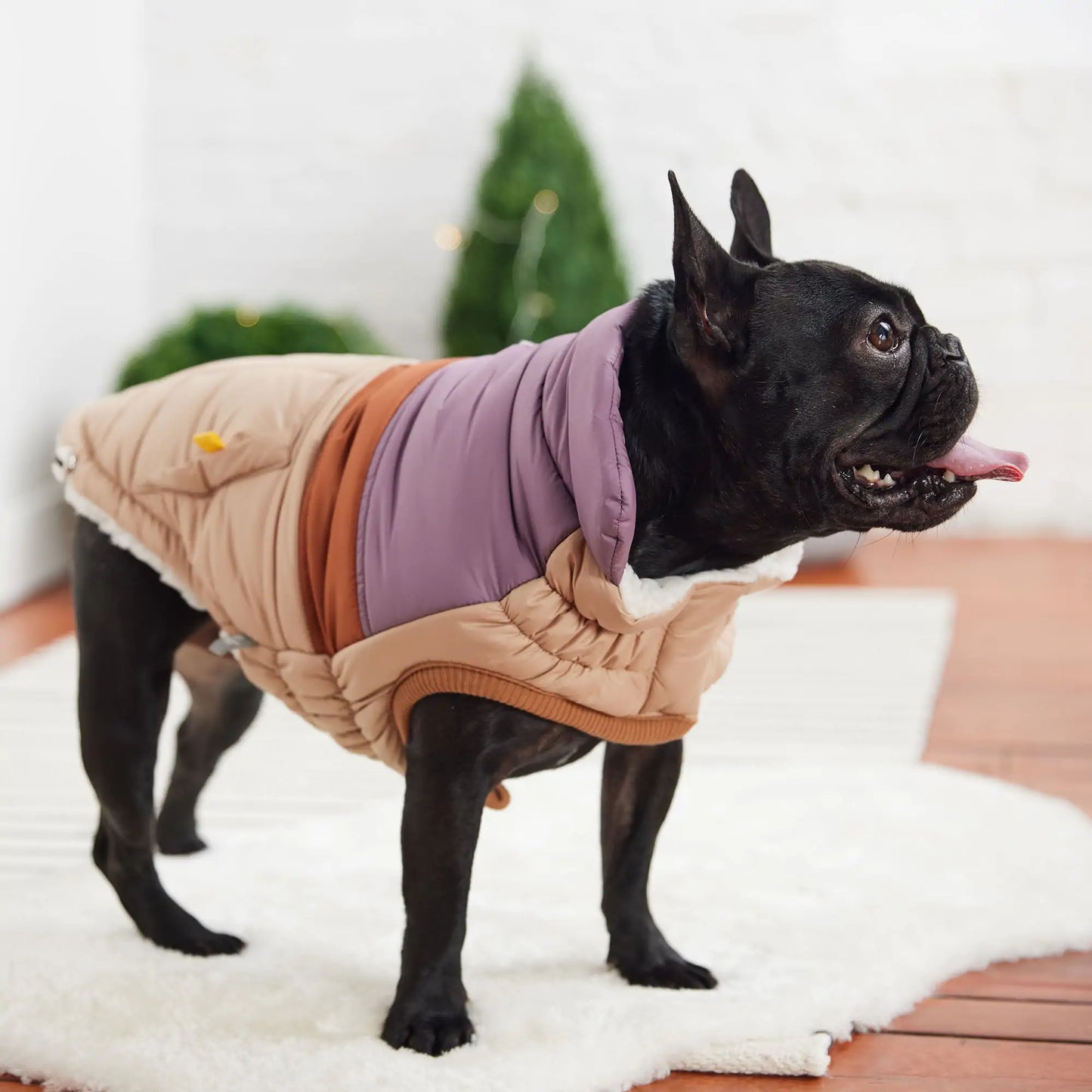 Retro Puffer Dog Jacket - Sand
