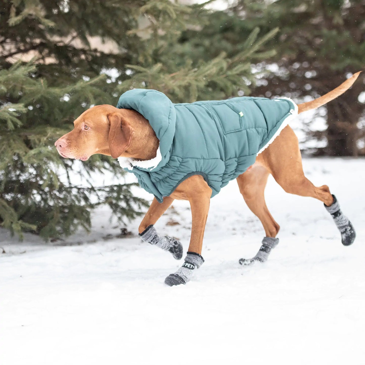 Super Puff Parka Dog Jacket - Teal